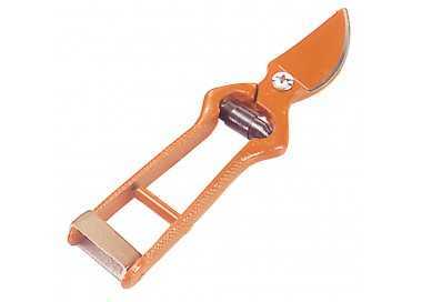 Tijeras Vendimiar Forjada Curva  1 Mano 18 cm.