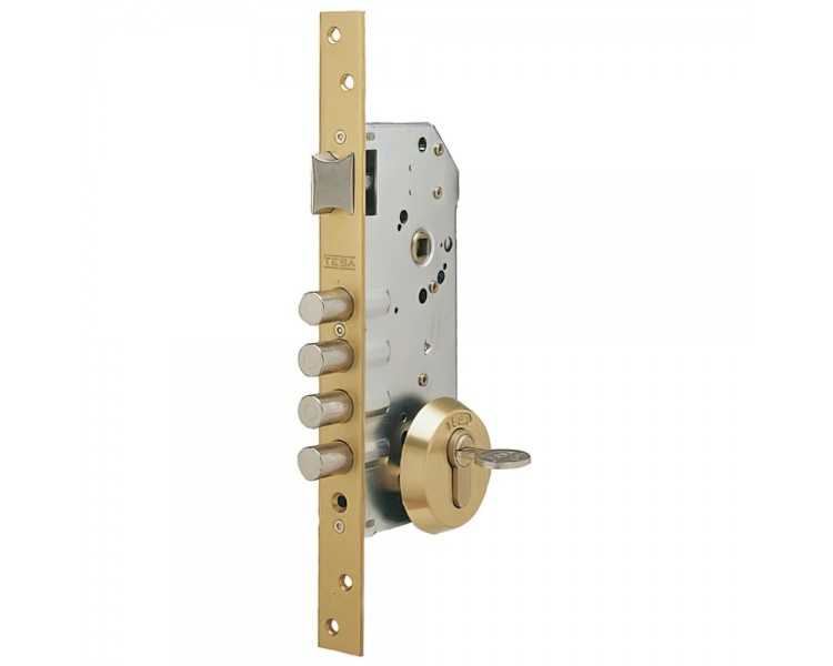 Cerradura Tesa Seguridad R100B566 Esmaltada
