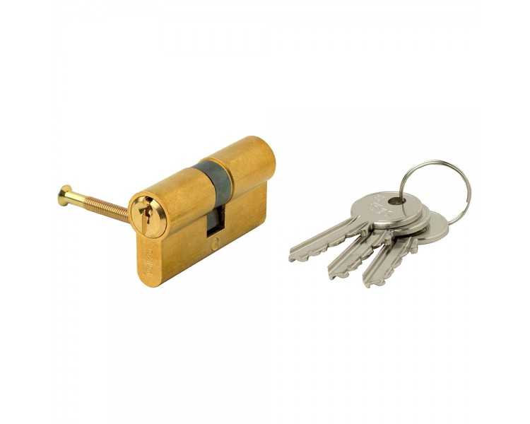Cilindro Iseo F5  Europeo 30x30 Latonado Leva Larga