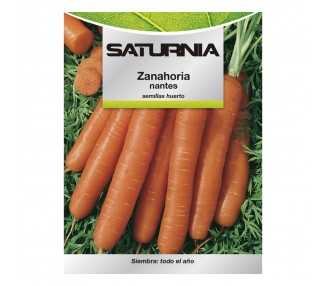 Semillas Zanahoria Nantes Temprana (7 Gramos). Semillas Verduras, Horticultura, Horticola, Semillas Huerto.