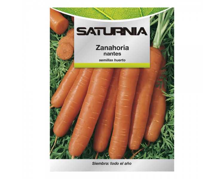 Semillas Zanahoria Nantes Temprana (7 Gramos). Semillas Verduras, Horticultura, Horticola, Semillas Huerto.