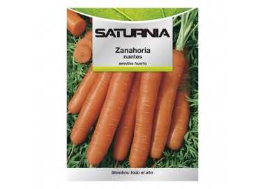Semillas Zanahoria Nantes Temprana (7 Gramos). Semillas Verduras, Horticultura, Horticola, Semillas Huerto.