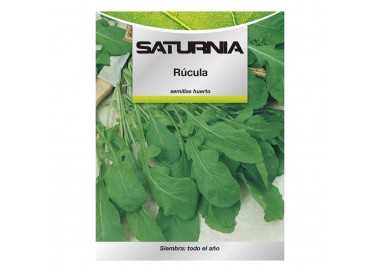 Semillas Rucula (9 gramos) Semillas Verduras, Horticultura, Horticola, Semillas Huerto.