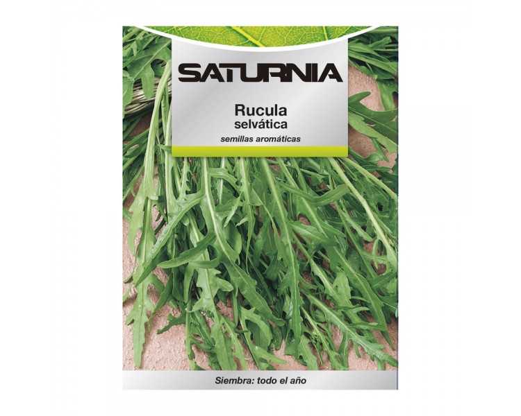 Semillas Aromaticas Rucula Selvatica (2.5 gramos) Horticultura, Horticola, Semillas Huerto.