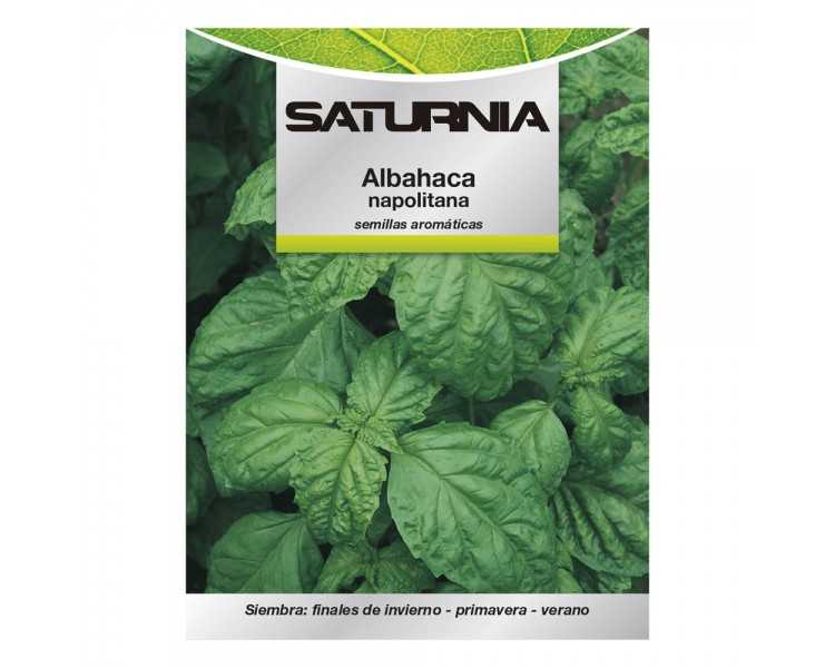 Semillas Aromáticas Albahaca Gigante (5 gramos) Horticultura, Horticola, Semillas Huerto.