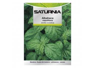 Semillas Aromáticas Albahaca Gigante (5 gramos) Horticultura, Horticola, Semillas Huerto.