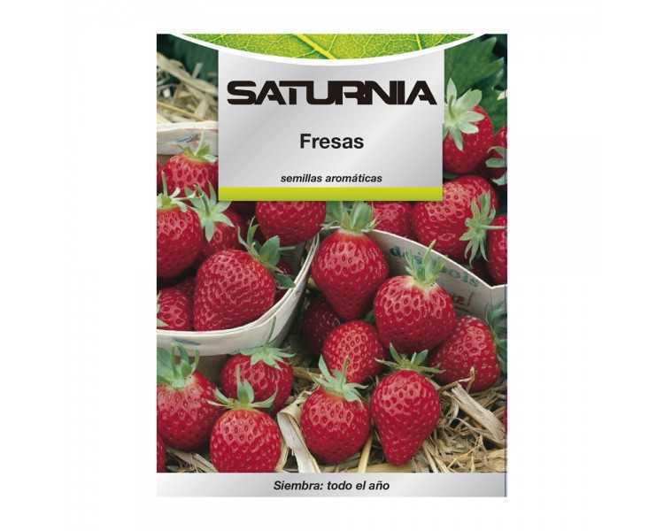Semillas Huerto Fresas