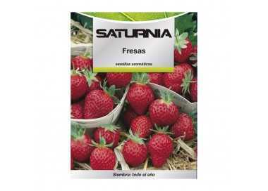 Semillas Huerto Fresas