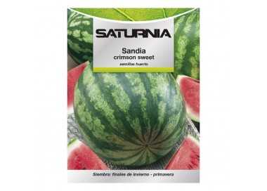 Semillas Huerto Sandia