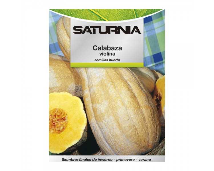 Semillas Huerto Calabaza Violina