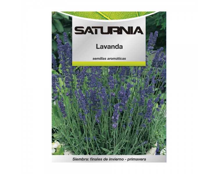 Semillas Aromaticas Lavanda (0.5 gramos) Horticultura, Horticola, Semillas Huerto.