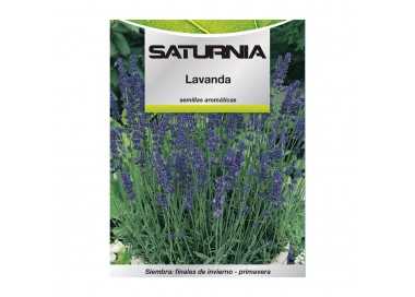 Semillas Aromaticas Lavanda (0.5 gramos) Horticultura, Horticola, Semillas Huerto.