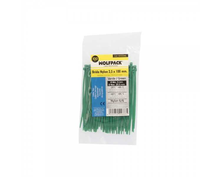 Brida Nylon 100%. Color Verde 2,5 x 100 mm. Bolsa 100 Unidades. Abrazadera Plastico, Organizador Cables, Alta Resistencia