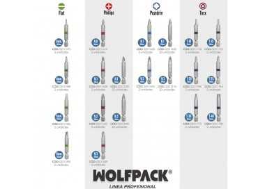 Puntas Largas Destornillador Torx T25 (2 Piezas). Acero S2 al Cromo Vanadio. Puntas Hexagonales, Destorpuntas,