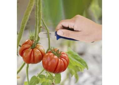 Cuchillo Recolectar Tomates / Pepinos 13,5 cm. Cuchillo Corta Tomates, Cuchillo Pepinos, Cuchillo Cortador Pepinos,