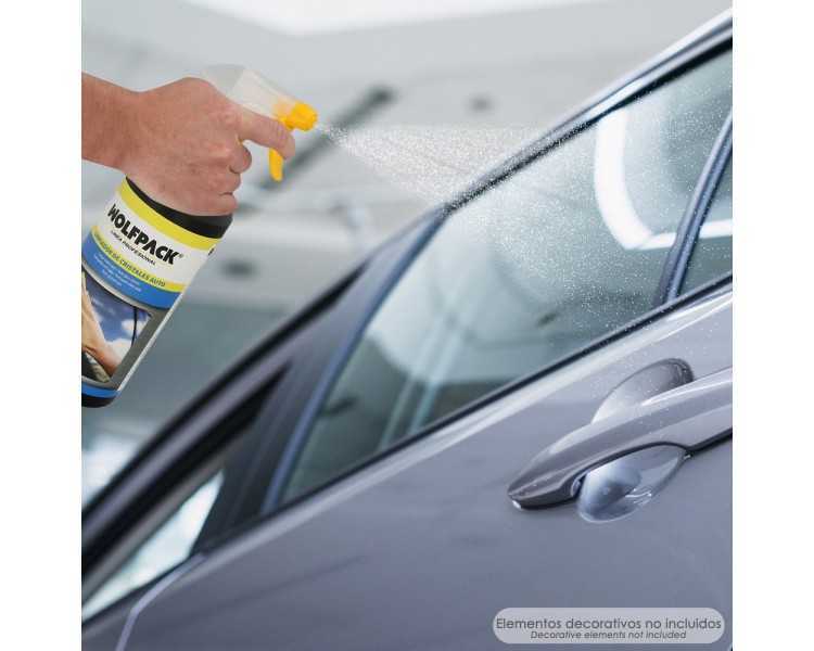 Limpiador Cristales Especial Coches 750 ml.