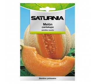 Semillas Melon Cantalupo (3 gramos) Semillas Frutas, Horticultura, Horticola, Semillas Huerto.