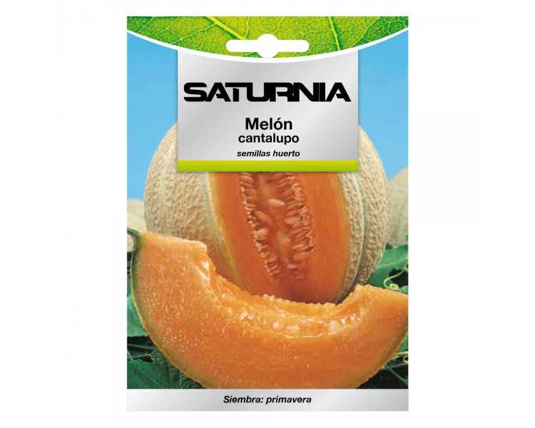 Semillas Melon Cantalupo (3 gramos) Semillas Frutas, Horticultura, Horticola, Semillas Huerto.