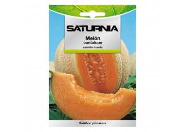 Semillas Melon Cantalupo (3 gramos) Semillas Frutas, Horticultura, Horticola, Semillas Huerto.