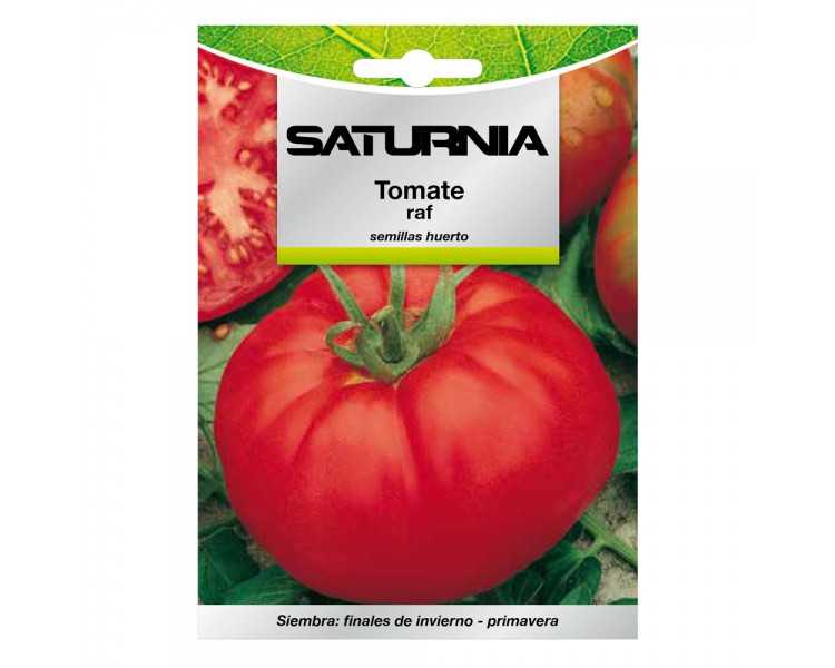 Semillas Tomate Raf (1.5 gramos) Semillas Verduras, Horticultura, Horticola, Semillas Huerto.