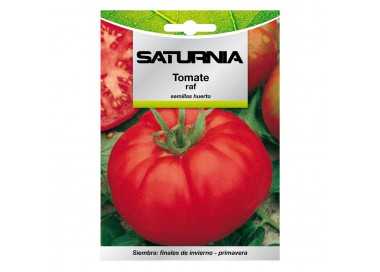 Semillas Tomate Raf (1.5 gramos) Semillas Verduras, Horticultura, Horticola, Semillas Huerto.