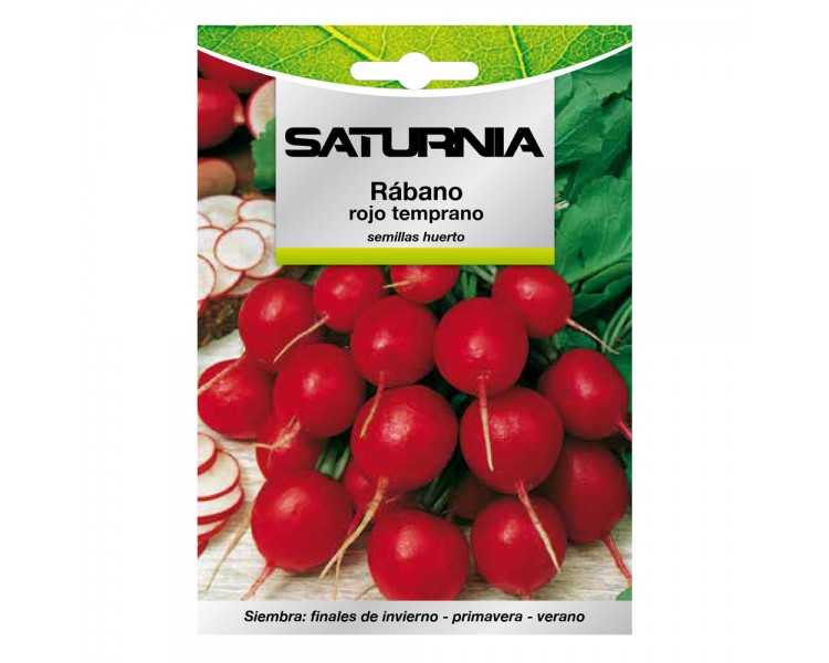 Semillas Rabano Rojo Temprano (8 gramos) Semillas Verduras, Horticultura, Horticola, Semillas Huerto.