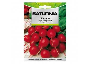 Semillas Rabano Rojo Temprano (8 gramos) Semillas Verduras, Horticultura, Horticola, Semillas Huerto.