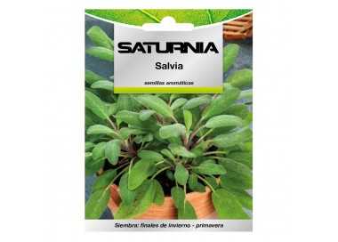 Semillas Aromaticas Salvia (1 gramo) Horticultura, Horticola, Semillas Huerto.