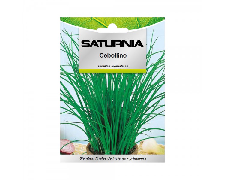 Semillas Aromaticas Cebollino (1 gramo) Horticultura, Horticola, Semillas Huerto.