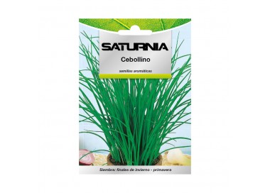 Semillas Aromaticas Cebollino (1 gramo) Horticultura, Horticola, Semillas Huerto.