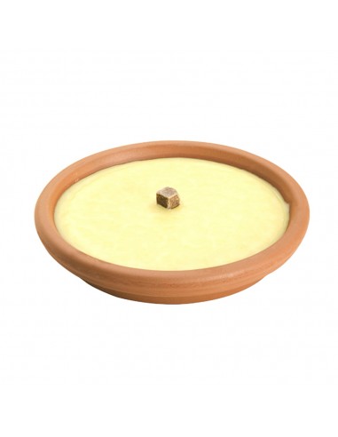 Vela Antimosquitos Citronela Recipiente Terracota 14 cm. / 120 Gramos