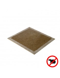 Trampa Ratones Adhesiva 19x14 cm. 2 unidades